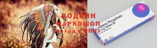 винт Няндома