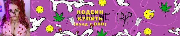 индика Гусиноозёрск