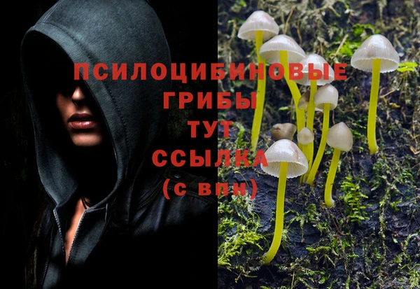 прущая мука Нягань