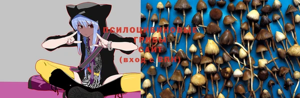 mix Осташков